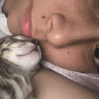 Profilbild für lsabella B