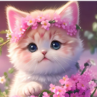 Avatar for Tracy H