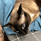 Avatar for Yitong (Windsky) L