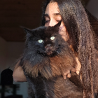 Profilbild für Yasaman J