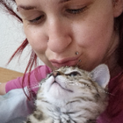 Profilbild für Konstantina A