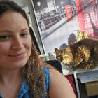 Profilbild für Kelyane W