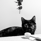 Profilbild für Kerstin K