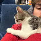 Avatar for Joshua (Josh) L