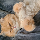 Profilbild für Jacky J
