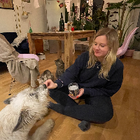 Profilbild für Alina F