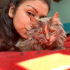 Profilbild für Jessica a