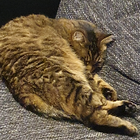 Profilbild für Kerstin S