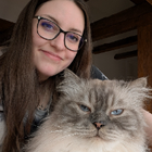 Profilbild für Josefin H