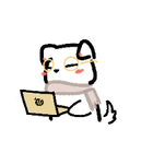 Avatar for bohan z