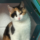 Avatar pour Emilie M