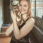 Profilbild für Larissa H