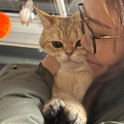 Avatar for Nga Ping (Belle) Y