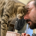 Profilbild für Yakup T