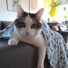 Profilbild für Kim H