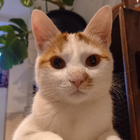 Profilbild für Luela-Maria H