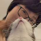 Profilbild für Mio C