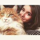 Profilbild für Lena L