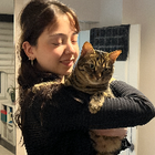 Profilbild für Zeynep T