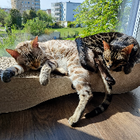 Profilbild für Sandra S