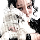 Avatar for Safia H