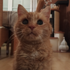 Profilbild für Finja R