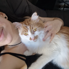 Profilbild für Marina W