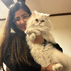 Profilbild für Mahnoor N