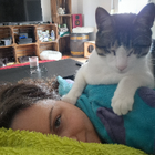 Profilbild für Lisa K