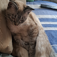 Profilbild für Marisol W