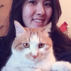 Profielfoto voor Mengmeng C