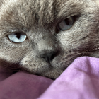 Profilbild für Michelle M
