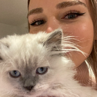 Profilbild für Alexa D