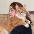 Profilbild für Marija K