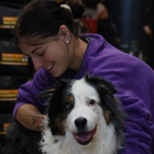 Avatar pour Fanette P