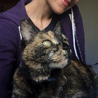 Profilbild für Sahra M