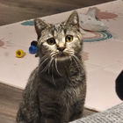 Profilbild für Natalja K