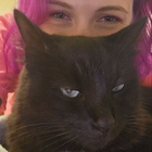 Profilbild für Alena K