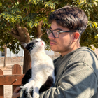 Profilbild für Damian A