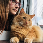 Profilbild für Maureen S