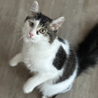 Profilbild für Xueyan B