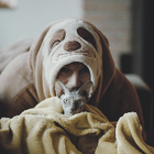 Avatar pour Julien L