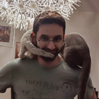 Profilbild für Celal Y