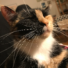 Profilbild für Krofty K