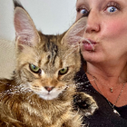Profilbild für Daniela I