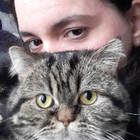 Avatar pour Aurore P