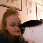Profilbild für Bini B