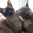 Profilbild für Luisa B