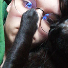 Avatar pour Acurcio I