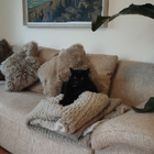 Profilbild für Nadja J